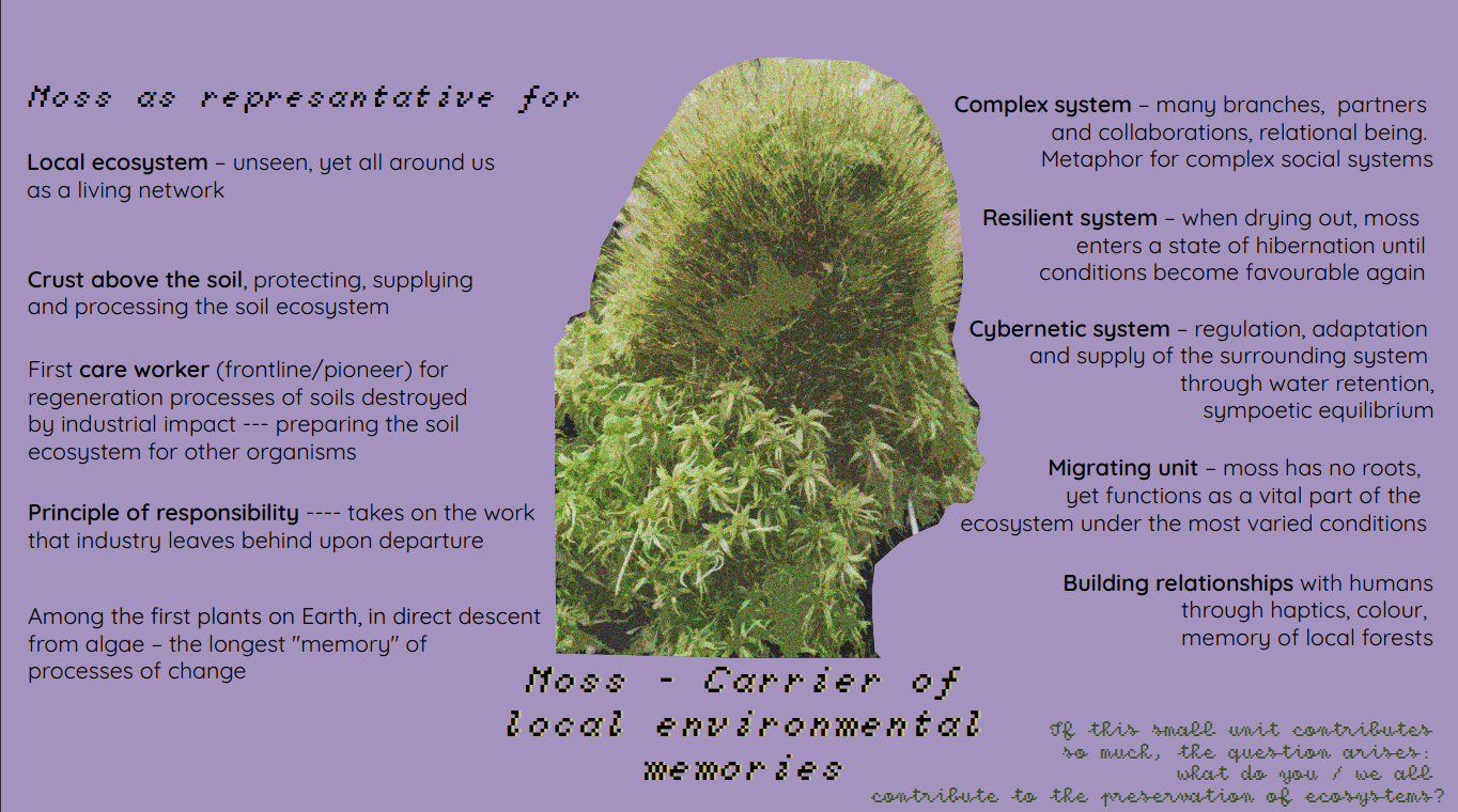 moss has so many interesting layers
